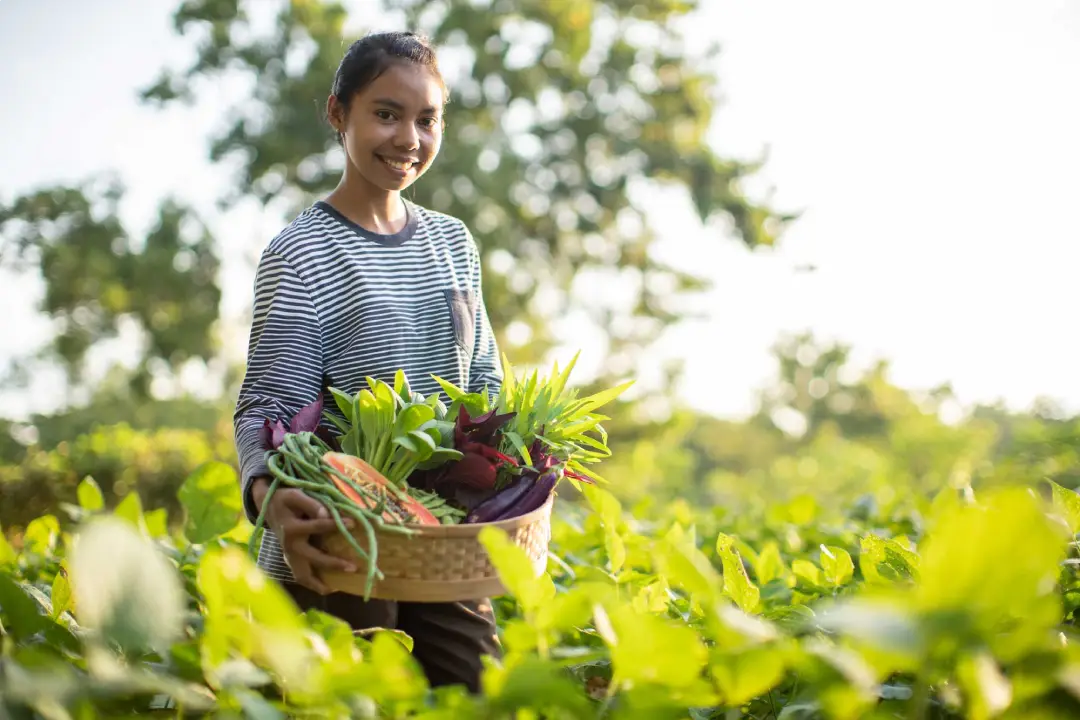 vegetable_farm_1_e2c1a4dd8e